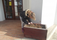 Tavaszi készülődés